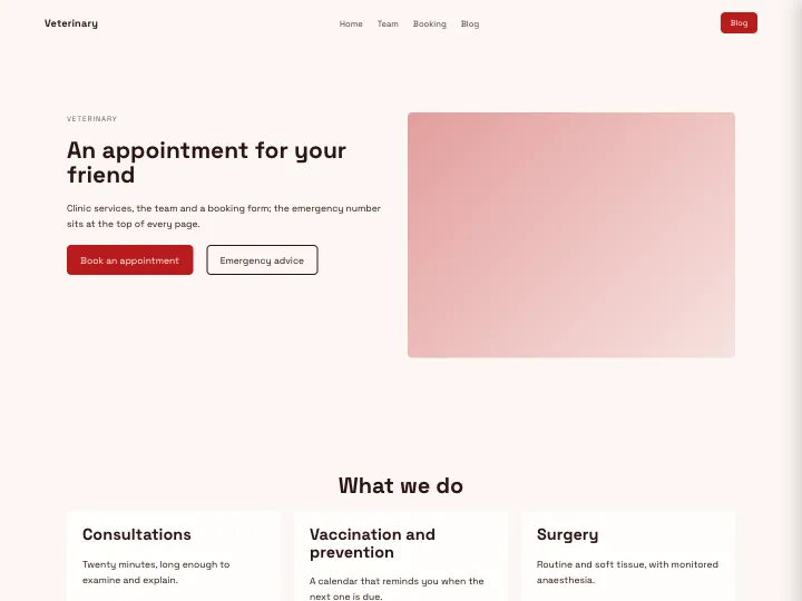 Veterinary · Modern Brick