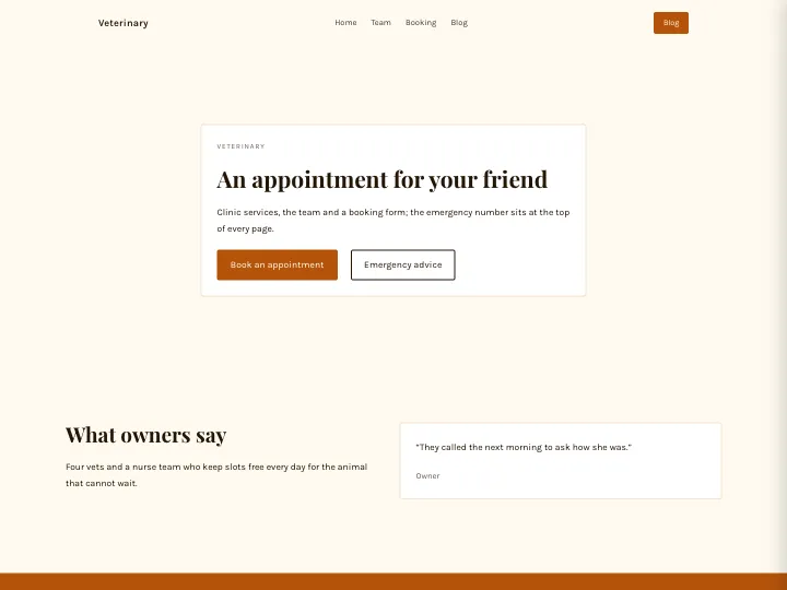 Veterinary · Warm Amber